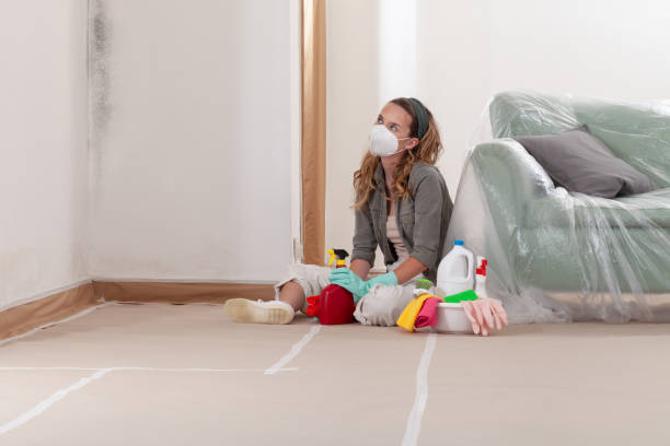 Reliable Basement Mold Removal contractor in Jarratt, VA by WQB Mold Removal